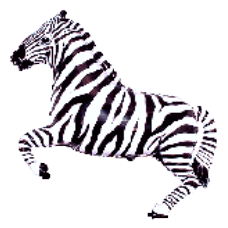 Balón Zebra