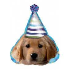 Balón Pes narodeninový