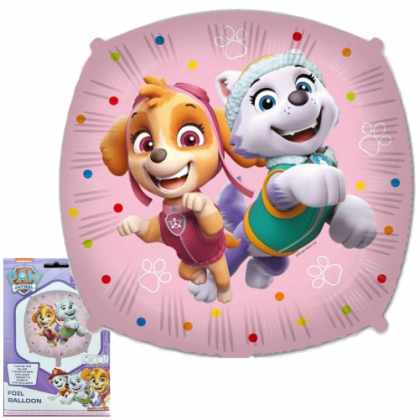 Balón Paw Patrol Sky a Everest