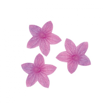 Oplátkový kvet mini fialový