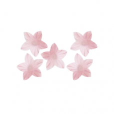 Oplátkový kvet mini ružový 2 cm
